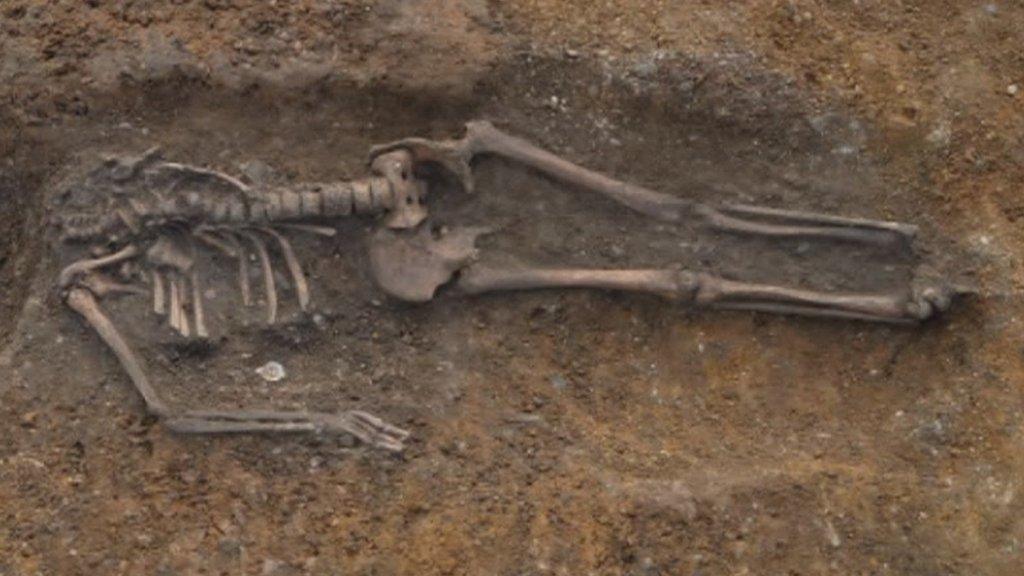 Skeleton discovered in Cambridge