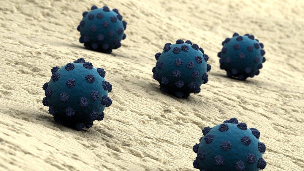 Artwork of HCV