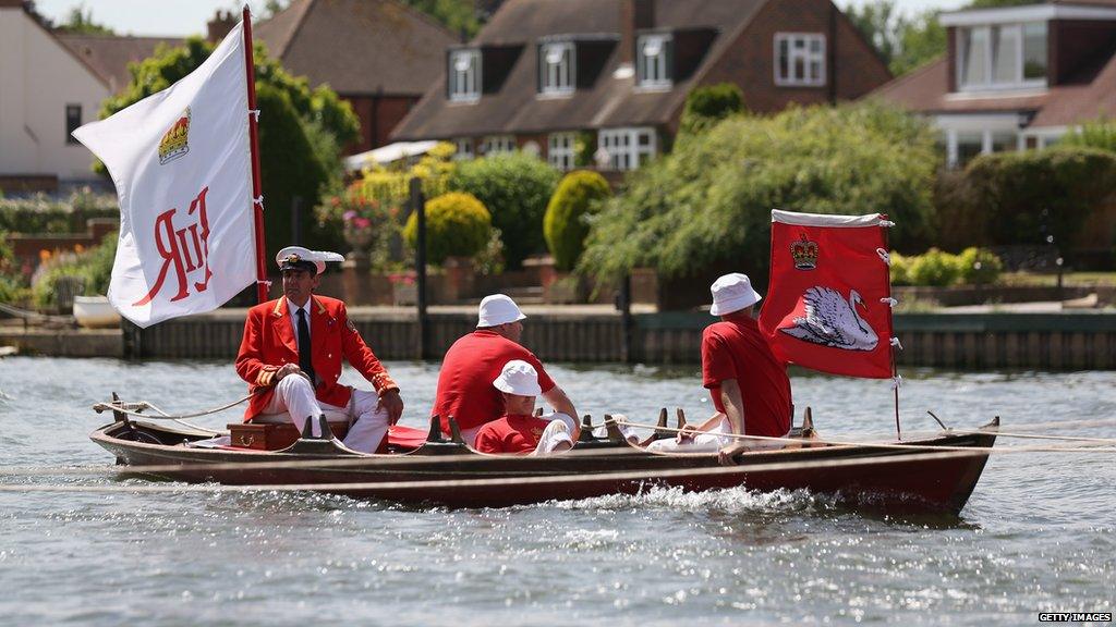 Swan Upping Census 2013