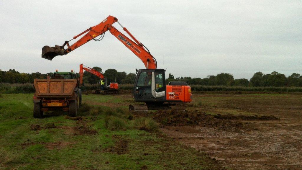 Hollesley Marsh