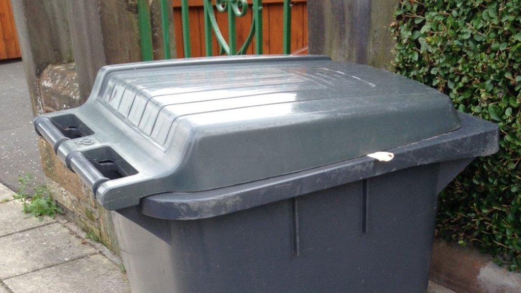 Bin