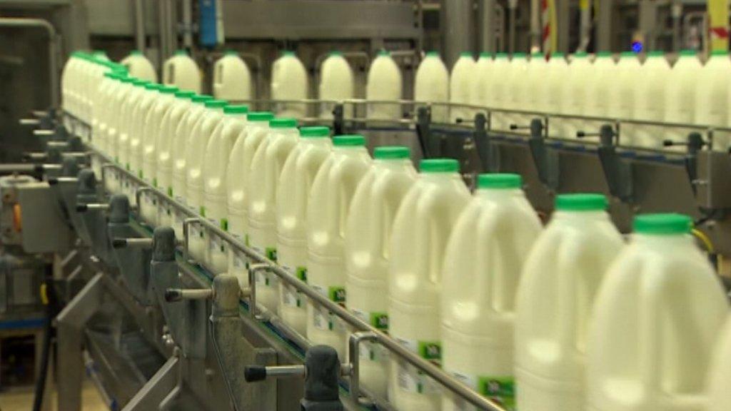 Milk cartons on conveyor belt