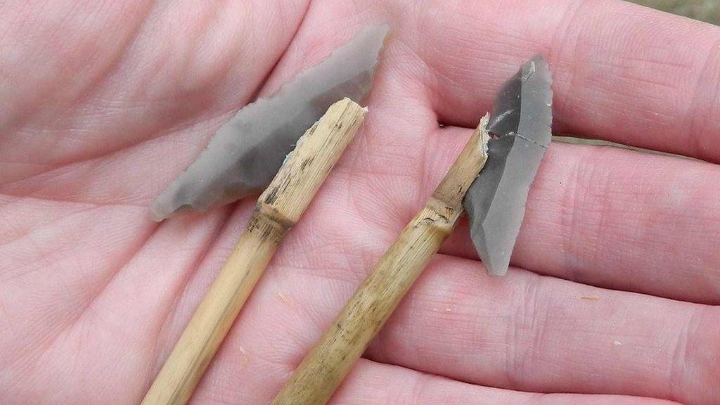 Suggested hafting positions of Cheddar points on wooden spears