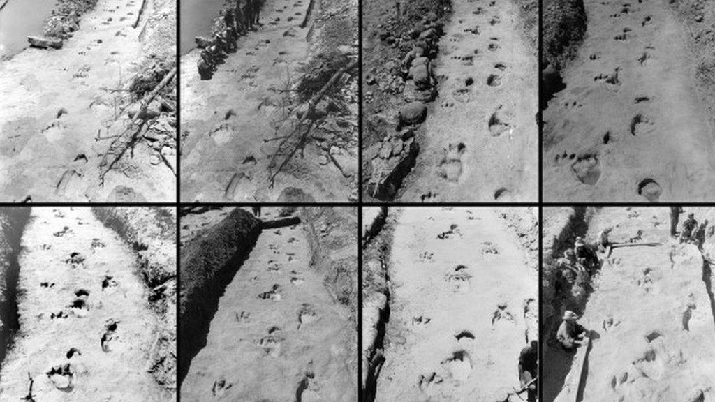 Dinosaur trackway - photos taken 70 years ago