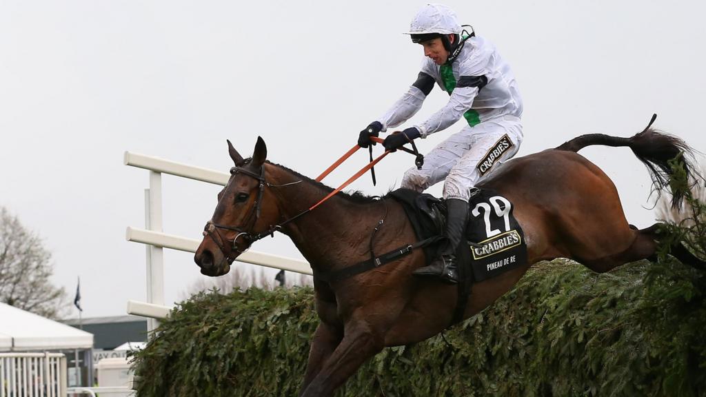 Pineau De Re ridden by Leighton Aspell clears the last fence