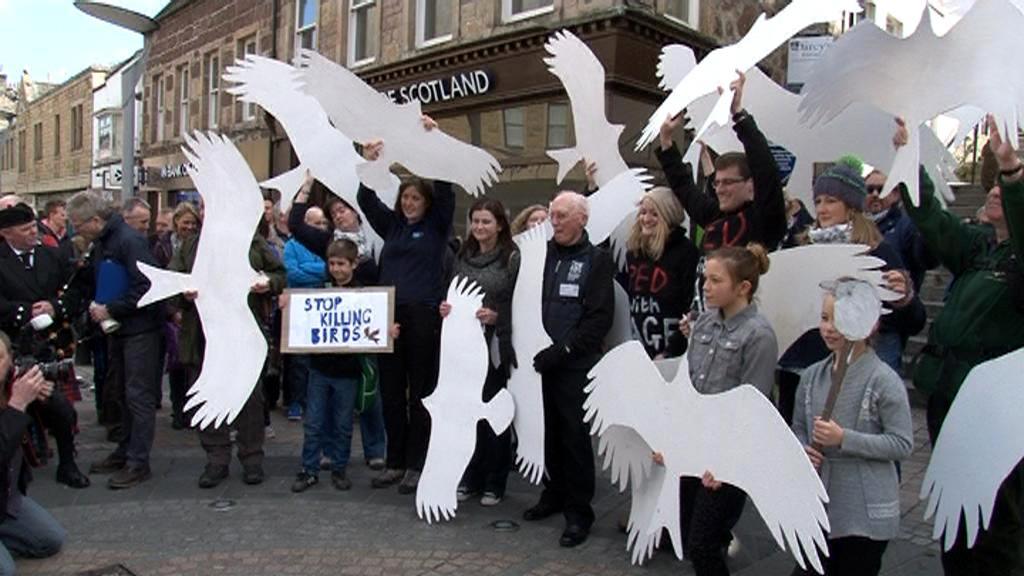 Red kite protest