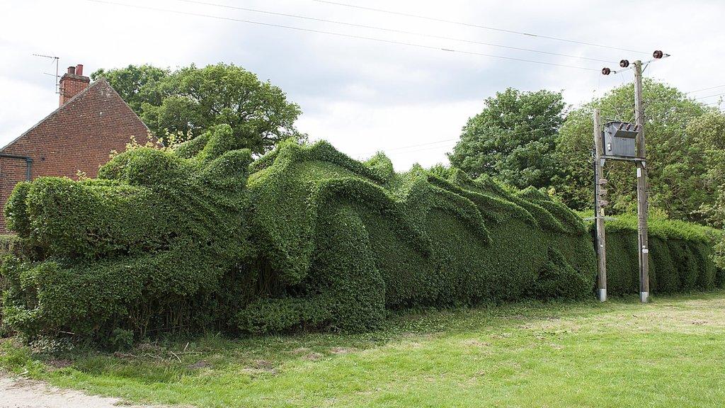 The dragon-style topiary