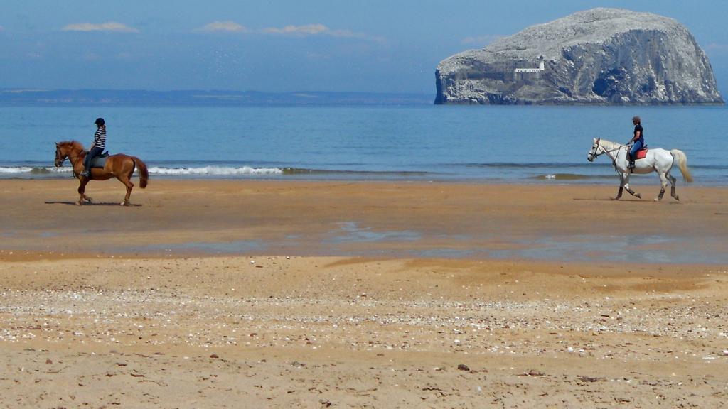 Two horse riders on a beach with the Bass Rock in the background.