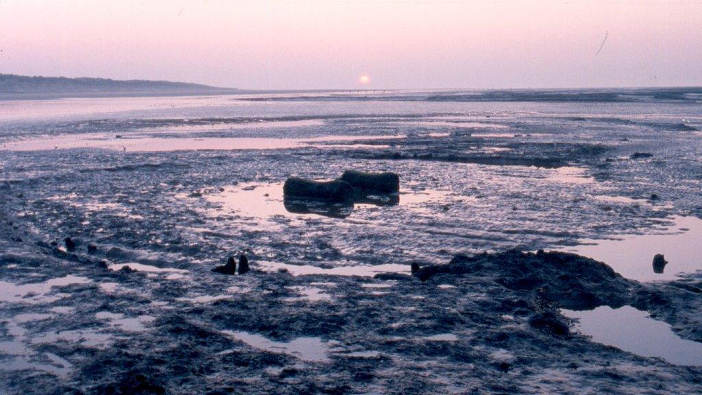 Wood circle at Holme-next-the-Sea