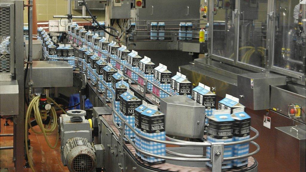 Milk being packaged in the Guernsey Dairy