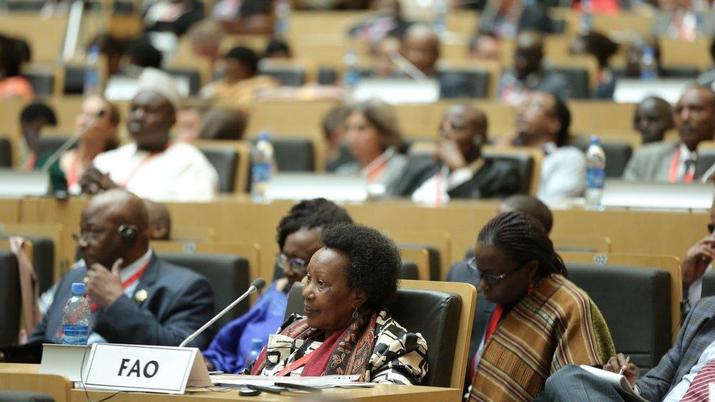 AGRF plenary hall (Image: AGRF)