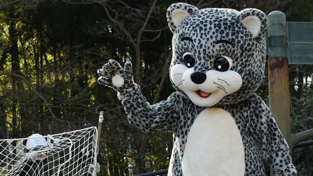 A keeper dressed as a snow leopard