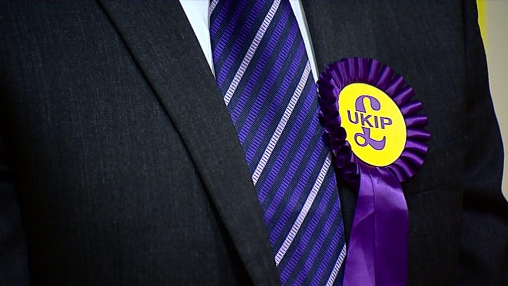 UKIP rosette