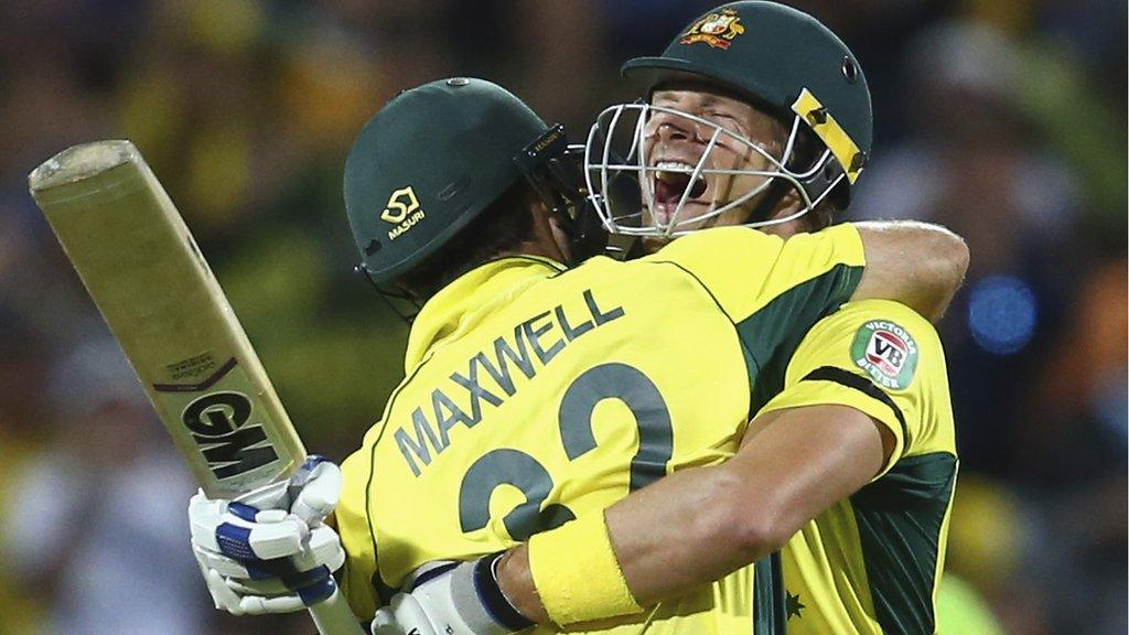 Shane Watson and Glenn Maxwell