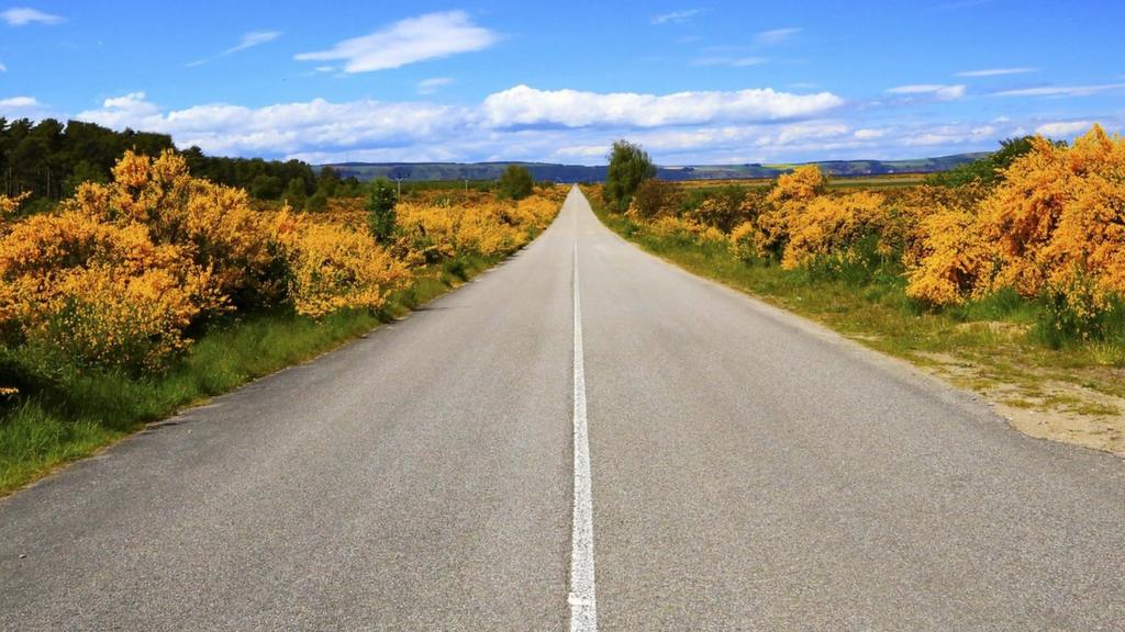 Scotland Live BBC News