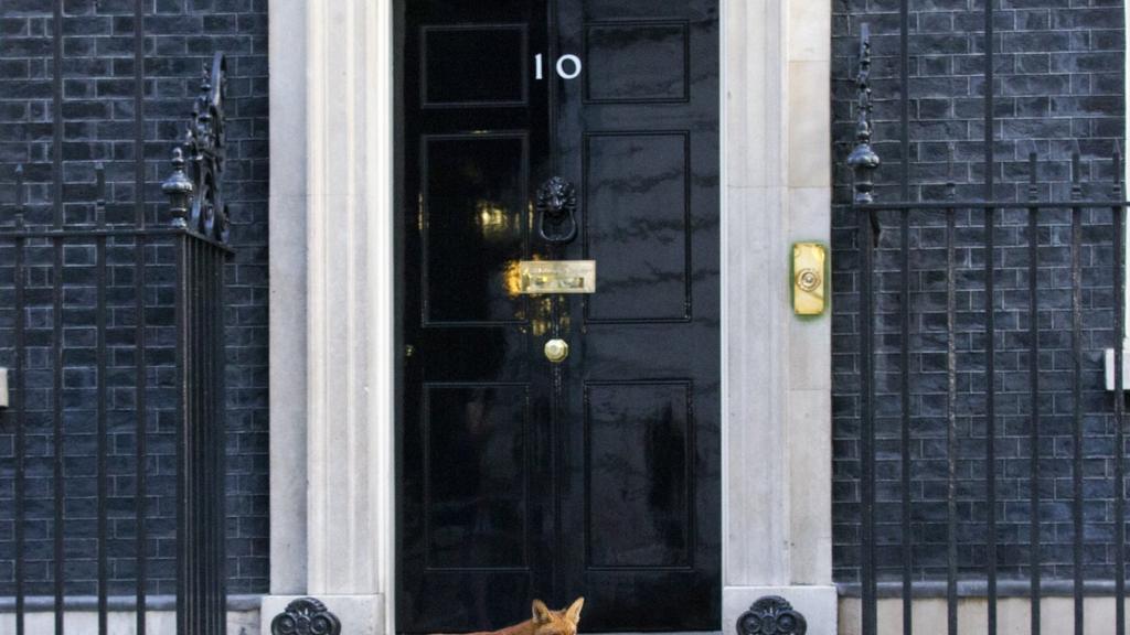 No 10 Downing Street