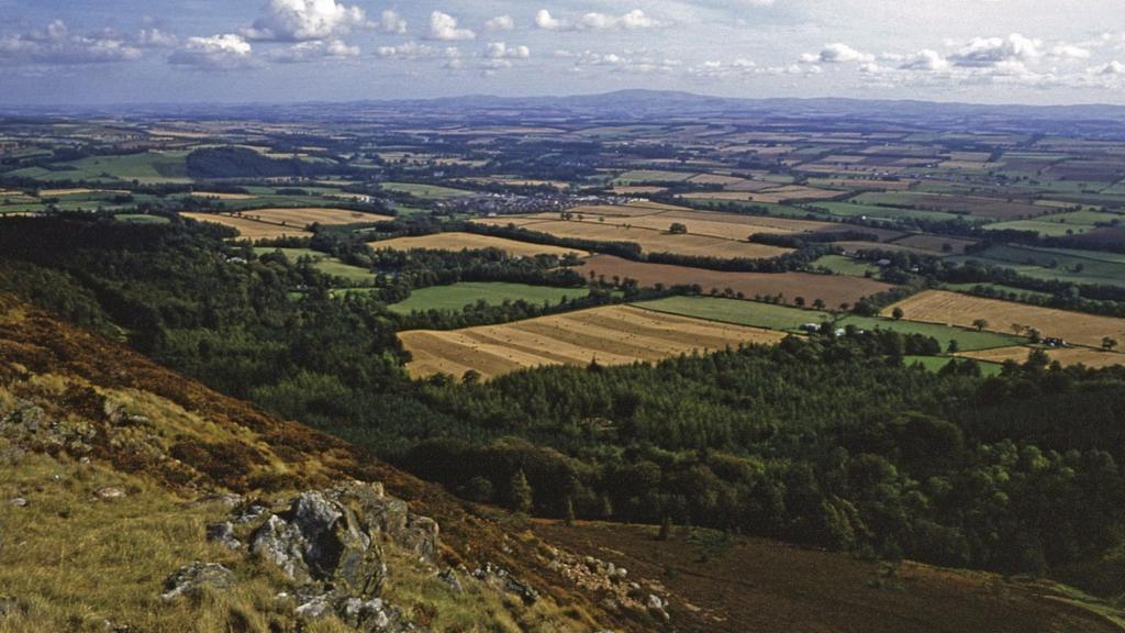 Distant Cheviot from Eildon Hills, Melrose