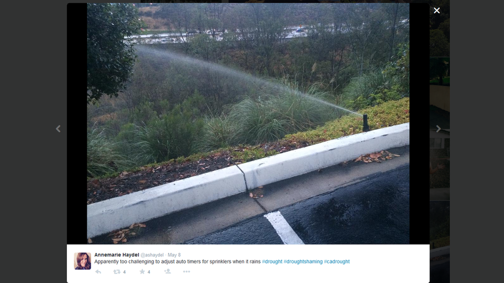 "Apparently too challenging to adjust auto timers for sprinklers when it rains #drought #droughtshaming #cadrought," Californian resident Annemarie Haydel tweeted with a picture of the offending curb-side sprinkler.