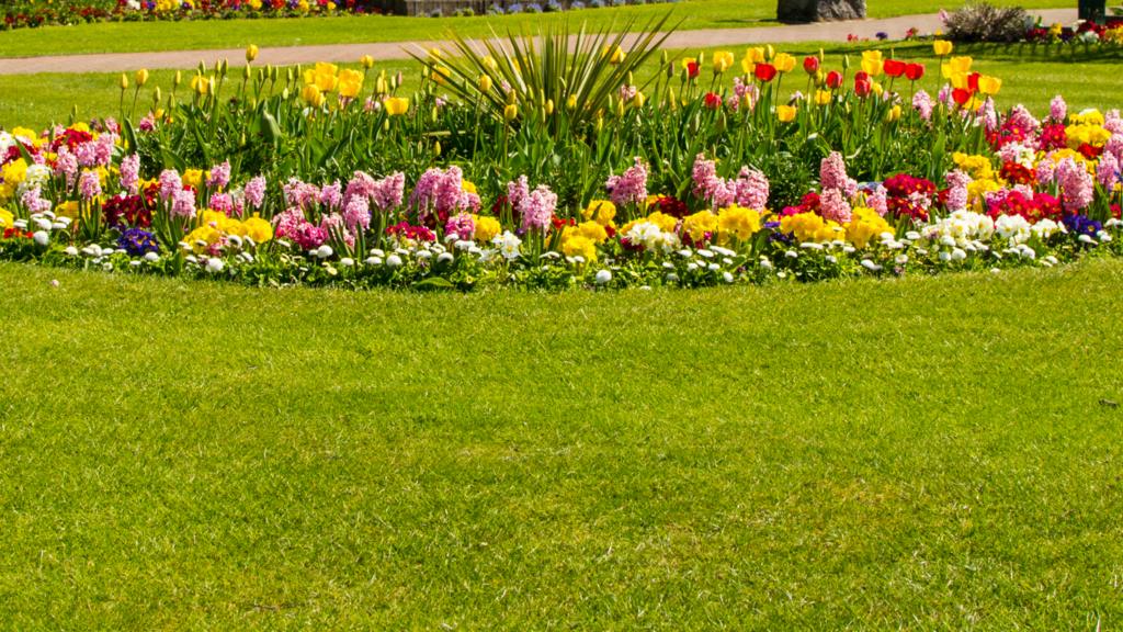 BBC Local Live Beds, Herts & Bucks BBC News