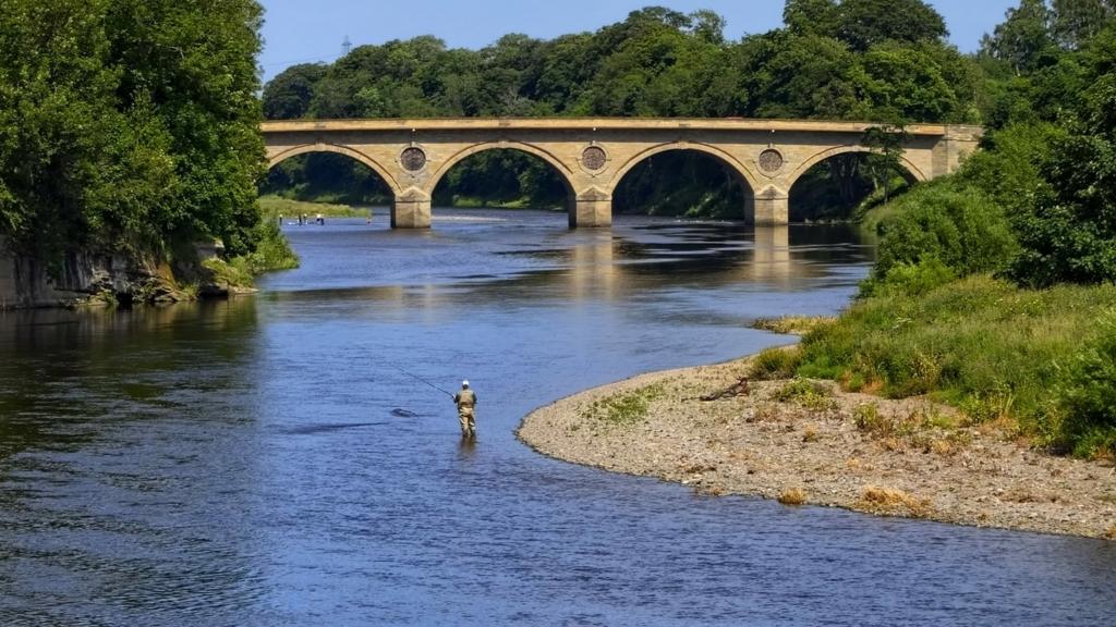 The River Tweed near Coldstream