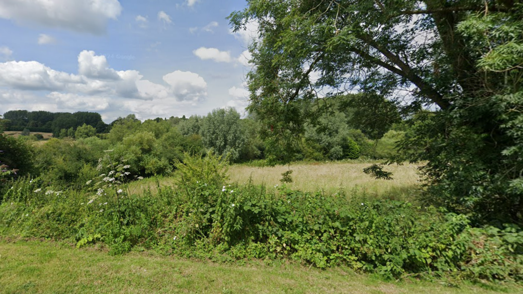 A grass verge, hedge and then a field behind it with trees and further grassland.