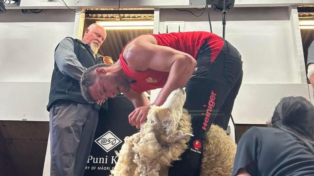 Cneifio yn ffeinal cneifio agored Taihape