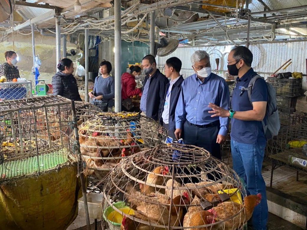 A live bird market in Quảng Ninh