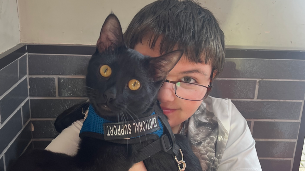 A boy with short dark hair and black rimmed glasses sat on a chair cuddling a black cat, which has a harness around it with the words 'emotional support' on it. The boy is wearing a grey T-shirt and sat against a wall inside.