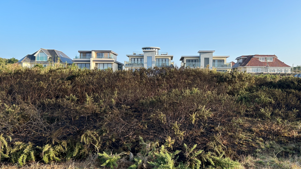 Burnt and blackened heathland. In the background, several houses can be seen.