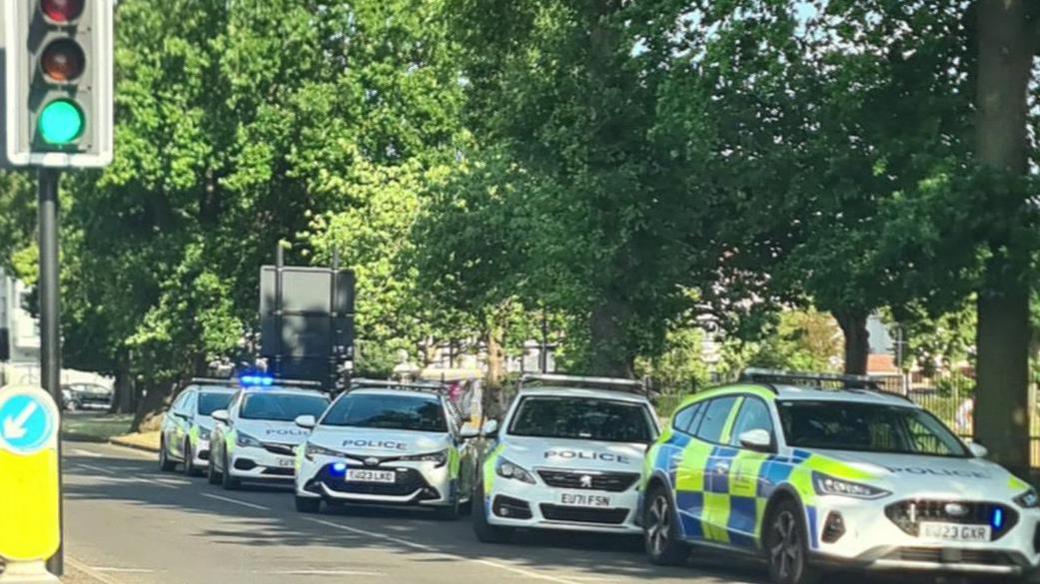 Five white police cars with yellow and blue neon checks are all parked in a row alongside the park, which is edged with large trees in leaf. One car has its blue flashing lights on. There is a traffic light on green to the left of the shot.