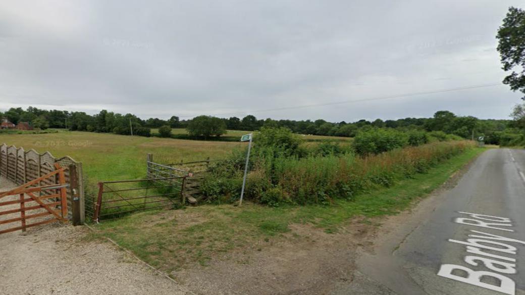 Green open space next to a road, there are trees and hedges separating the road and the grass