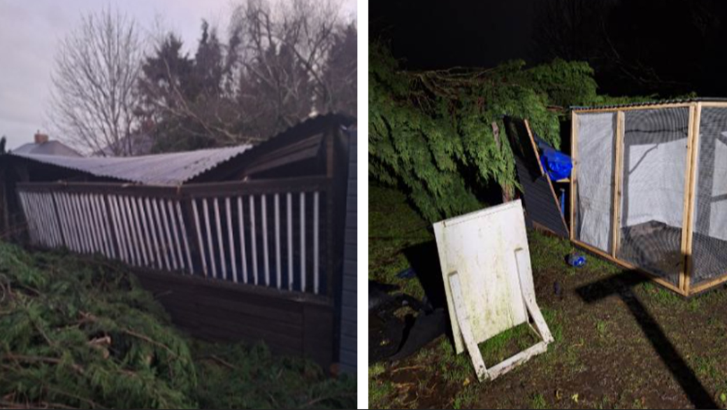 The fir tree can be seen lying on top of the aviaries in Mr Perry's garden