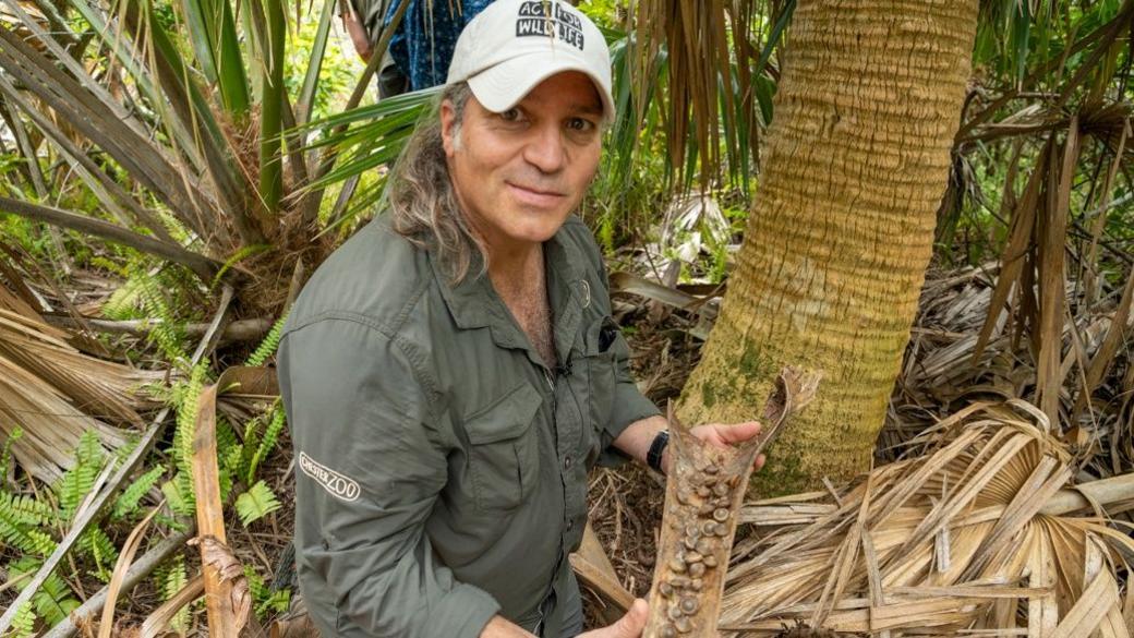 Dr Gerardo Garcia holding a piece of palm with lots of snails in it. 