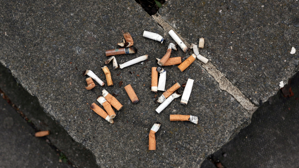 Cigarette butts