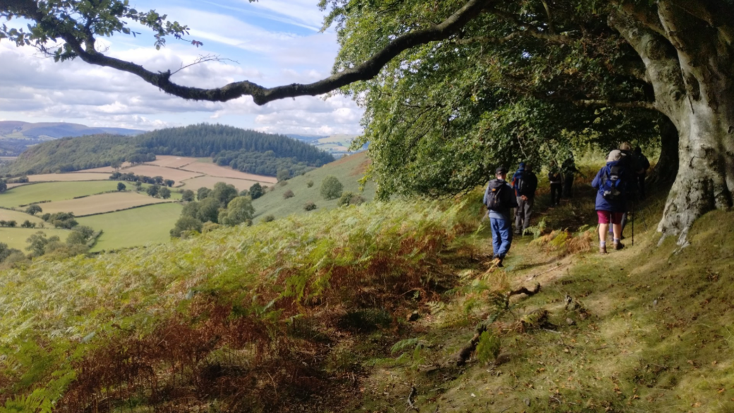 A scenic image of trees and hills in the distance while a group of ramblers walk in the foreground. 