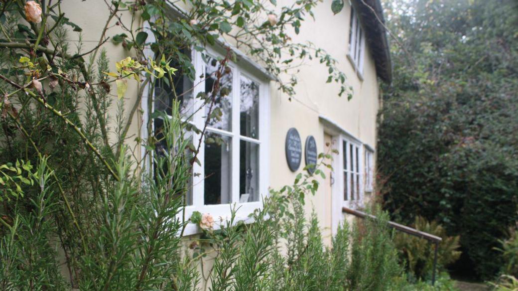 Front of a yellow cottage with plants growing to the height of its window sills. Two round signs can be seen near the front door.