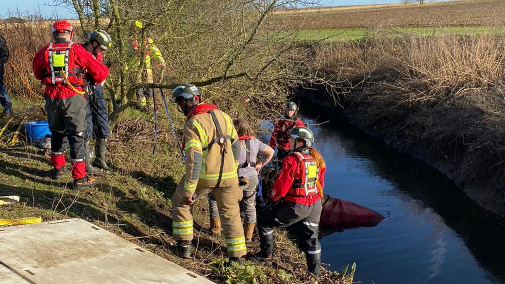 A fire service rescuing a horse from a Billericay ditch