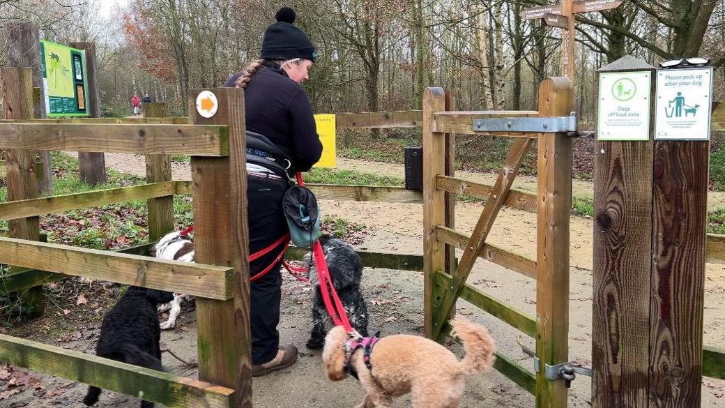 Sara Barnes is walking four dogs through a gate in a wooded area. She is dressed in black with a black hat on and has her hair in a plait. The dogs are on red leads.