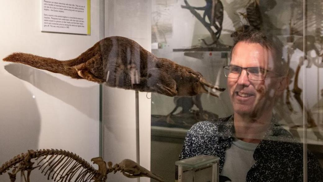 A freeze-dried platypus, suspended within a clear-glass museum case. It has brown fur, a bill like a duck and flipper like arms. On the other side of the glass can be seen Jack Ashby. He is smiling towards the platypus.