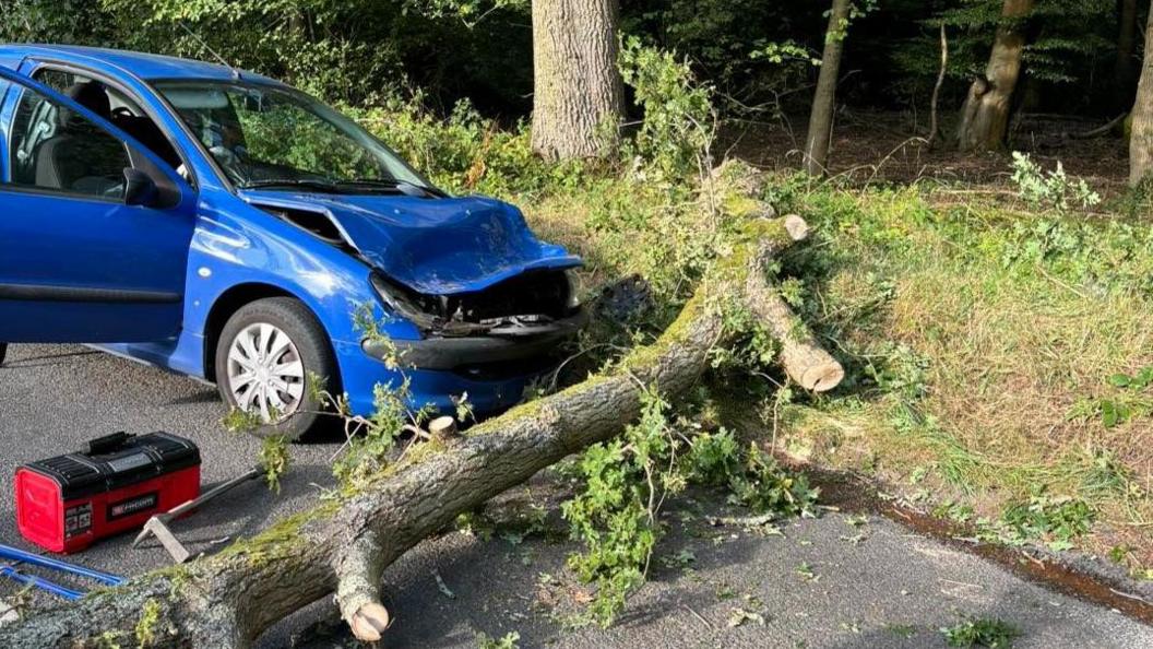 Blue car seen in front of the fallen tree with front crumpled up