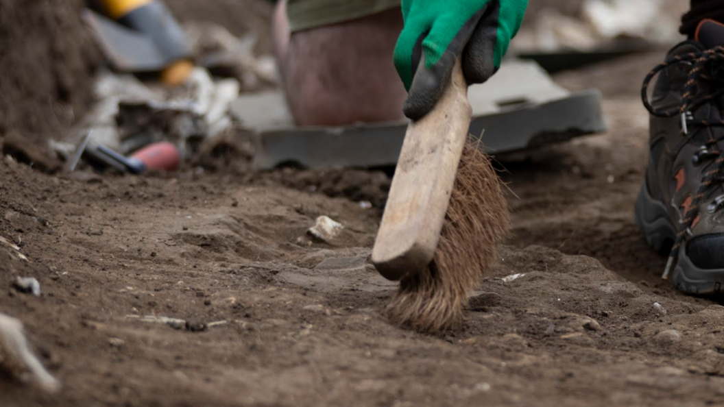 Image of a student using a brush gently to find bones and artifacts in the trenches