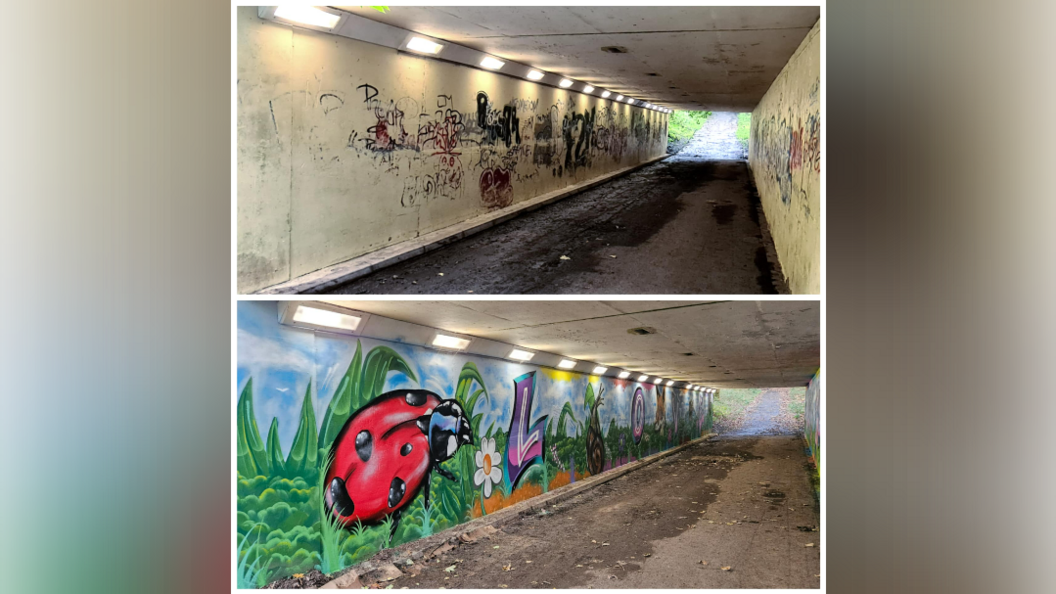 A lady bird painted on a subway with other colourful lettering, flowers and sky, in contract a graffiti strewn, dark subway is pictured above it.