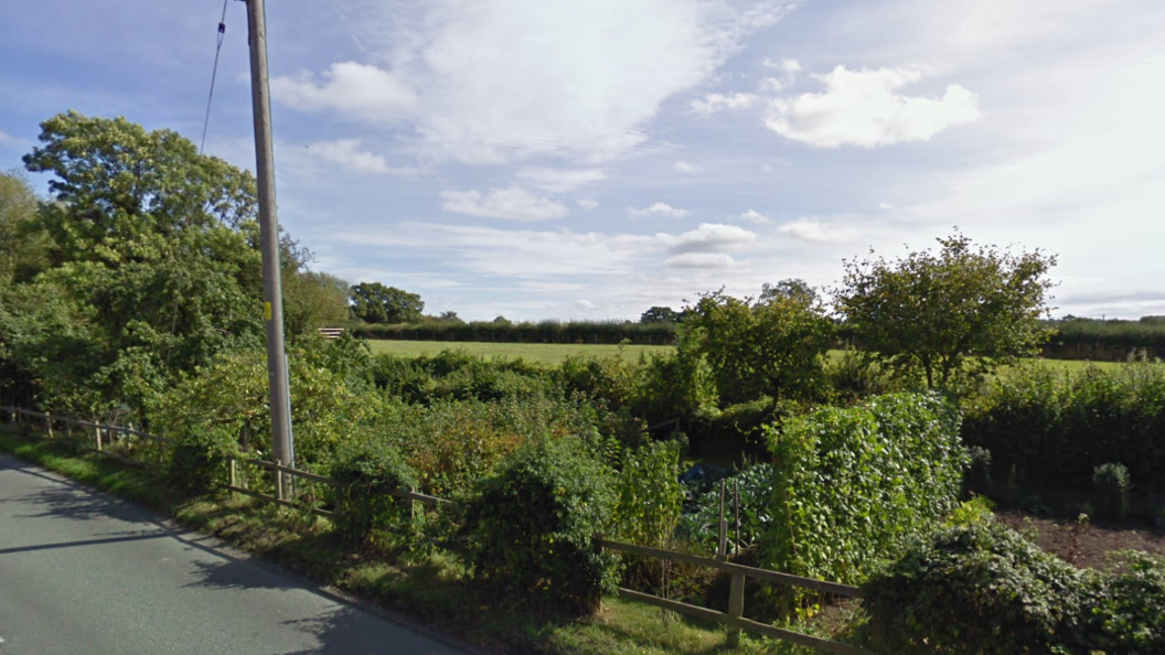 A green space sits beyond a road. There are green trees and bushes in the foreground, with an empty field behind it.