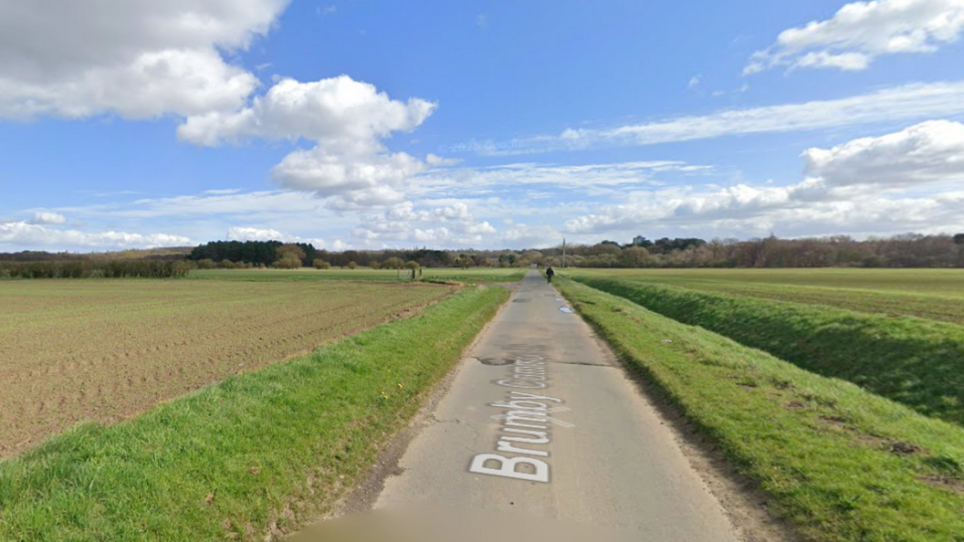 Google view of Brumby Common Lane. It is a narrow road, with a ditch to one side. There are trees in the distance.