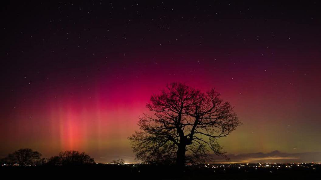 An evening sky with purple and pink hues and stars over a city skyline and a large bare winter tree in the centre