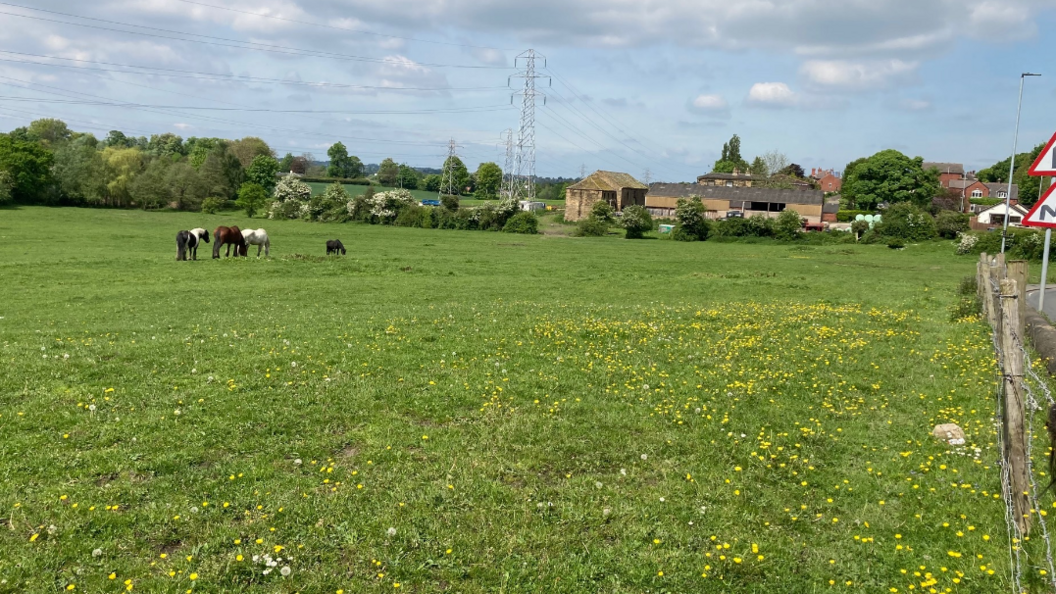 Four horses stand in a field near some farm buildings.