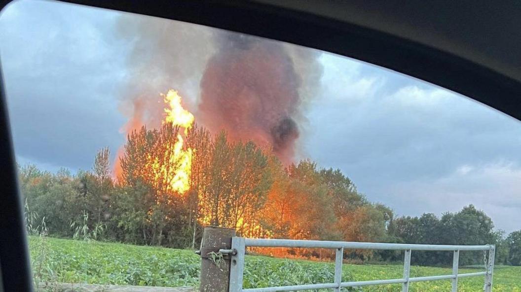 Bright orange flames behind trees and thick smoke in the sky above