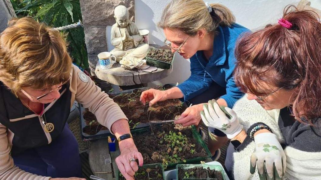 People planting flowers