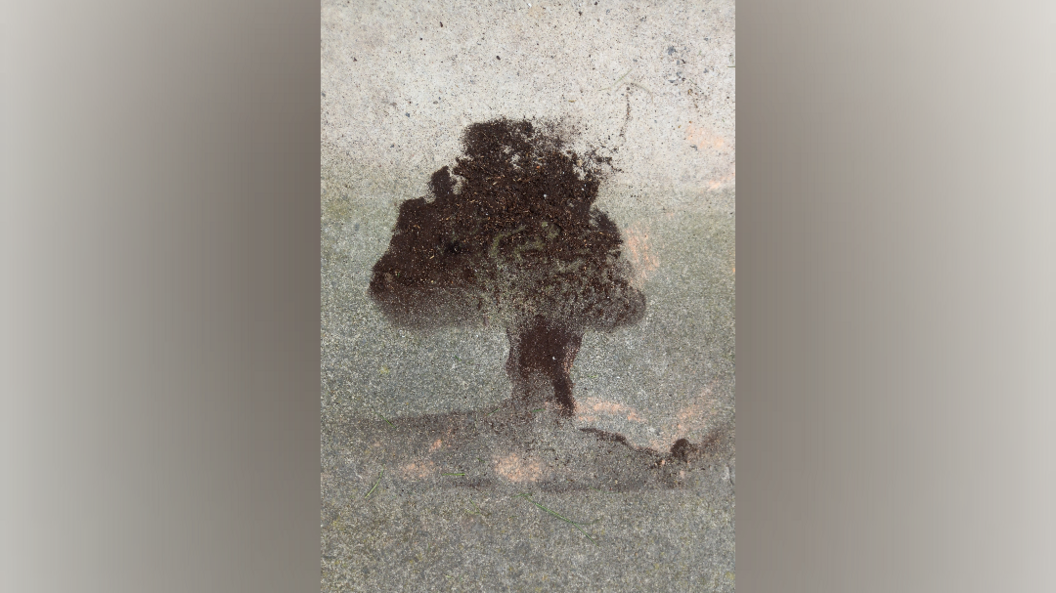 A black and brown marking in the shape of a tree on stone which looks like the Sycamore Gap tree.
