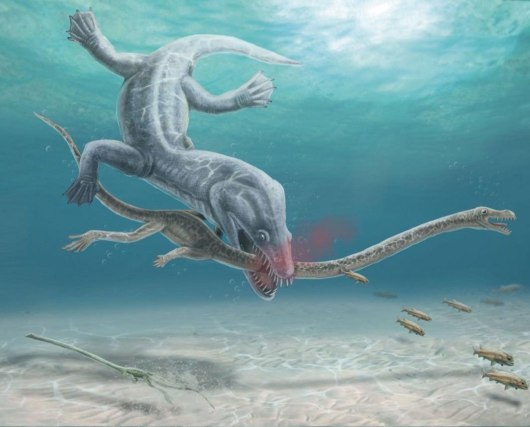 Tanystropheus-being-bitten-by-predator.